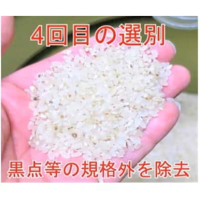 【毎月定期便】【令和7年産】5kg(5kg×1袋)大手有名百貨店出荷米 あきたこまち全4回