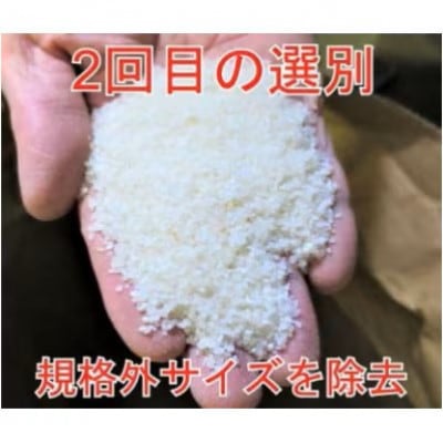 【毎月定期便】【令和7年産】15kg(5kg×3袋)大手有名百貨店出荷米　あきたこまち全10回
