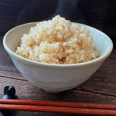 【令和6年産】 あきたこまち 玄米10kg(5kg×2袋) 秋田県大仙市産