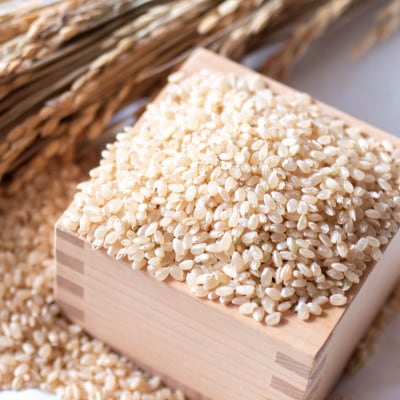 【令和7年産】 あきたこまち 玄米30kg (30kg×1袋) 秋田県大仙市産