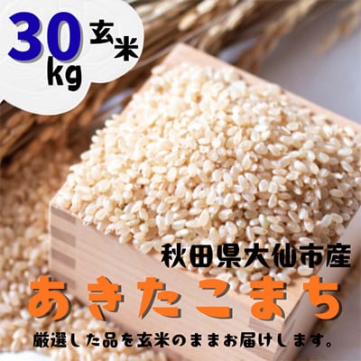 【令和7年産】 あきたこまち 玄米30kg (30kg×1袋) 秋田県大仙市産