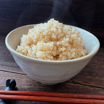 【令和7年産】 あきたこまち 玄米30kg (30kg×1袋) 秋田県大仙市産