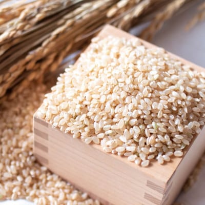 【令和7年産】 あきたこまち 玄米20kg (5kg×4袋) 秋田県大仙市産