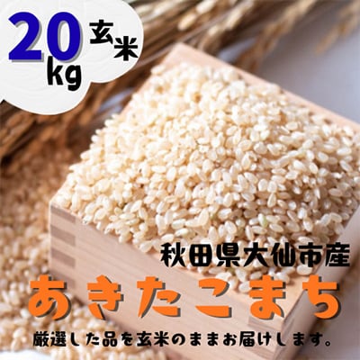 【令和7年産】 あきたこまち 玄米20kg (5kg×4袋) 秋田県大仙市産
