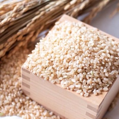 【令和7年産】 あきたこまち 玄米10kg (5kg×2袋) 秋田県大仙市産