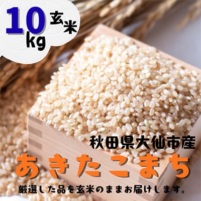 【令和7年産】 あきたこまち 玄米10kg (5kg×2袋) 秋田県大仙市産