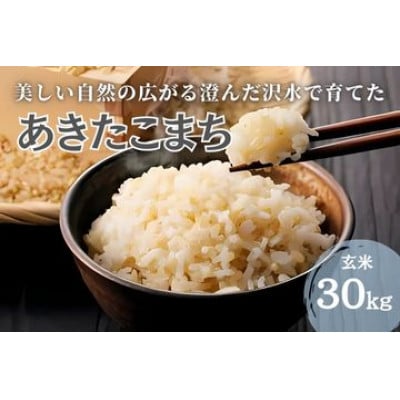 秋田県大仙市産 沢水で育てた あきたこまち【玄米】30kg