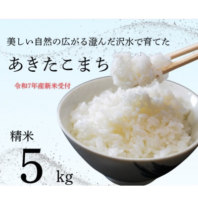 秋田県大仙市産 沢水で育てた あきたこまち【精米】5kg(令和7年10月上旬以降発送予定)
