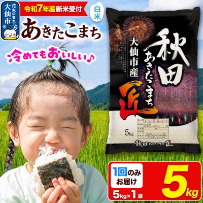 《令和7年産 新米受付》【白米】秋田県大仙市産 あきたこまち 精米 5kg 1回のみお届け