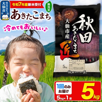 《令和7年産 新米受付》【無洗米】秋田県大仙市産 あきたこまち 5kg 1回のみお届け