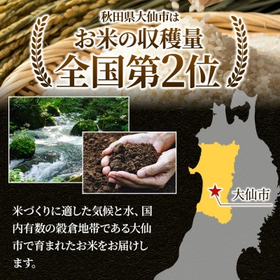 《令和7年産 新米受付》【無洗米】秋田県大仙市産 あきたこまち 10kg(5kg×2)1回のみお届け