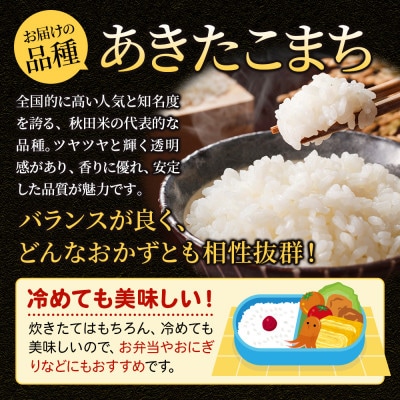 《令和7年産 新米受付》【無洗米】秋田県大仙市産 あきたこまち 10kg(5kg×2)1回のみお届け