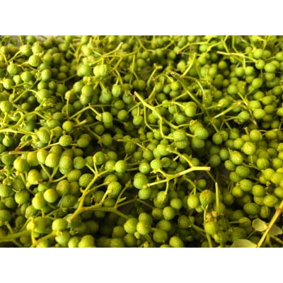 山椒 朝倉山椒の実　200g