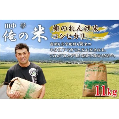 【俺のれんげ米】コシヒカリ 白米11kg【長野県池田町】