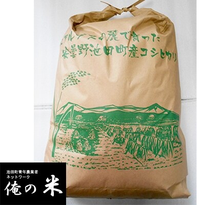 【俺の米】太田貴大　令和元年産コシヒカリ10kg×1袋【2月配送】(精米)