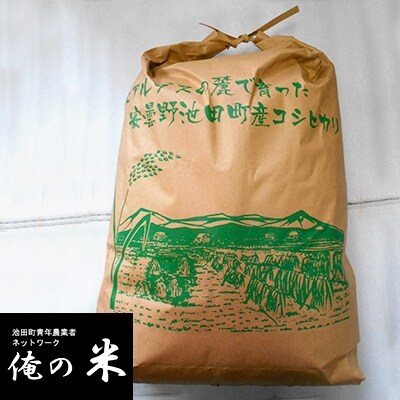 【俺の米】薄井大地 令和2年産コシヒカリ11kg×1袋【令和2年12月配送】(精米)