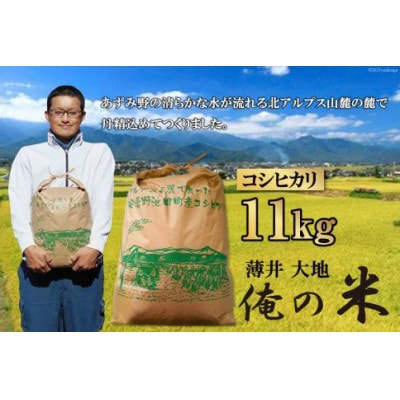 【俺の米】薄井大地　令和6年産コシヒカリ11kg(精米)【令和6年12月配送】