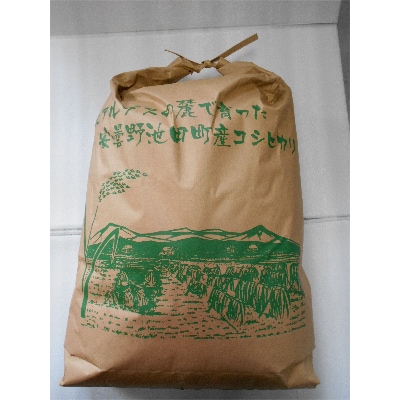 【俺の米】薄井大地　令和6年産コシヒカリ11kg(精米)【令和7年3月配送】
