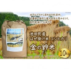池田町産 はぜ掛け米 コシヒカリ　金の鈴米10kg