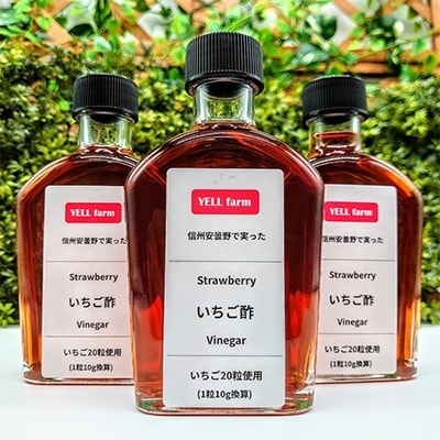 【いちご酢】信州安曇野で実ったいちご酢　200ml×3本　ストロベリー　ビネガー