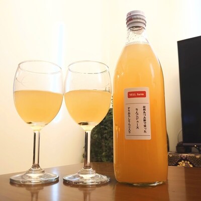 【プレミア】りんごジュース　贅沢すりおろし入り　信州あづみ野育ち　500ml×3本　
