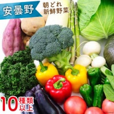 【野菜10種類以上】安曇野の朝どれ新鮮な野菜・季節お任せ