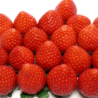 【2022年7月発送開始】【冷凍】安曇野いちご　(500g×2)信州あづみ野産　夏秋いちご