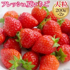 信州安曇野 夏いちご 大粒 約200g&times;2パック(1粒約10g)フレッシュ