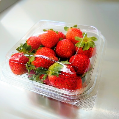 信州安曇野　夏いちご　大粒　約200g×2パック(1粒約10g)フレッシュ