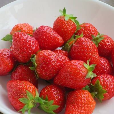 【フレッシュ】夏いちご大粒　約200g×6パック(1粒約10g)信州安曇野