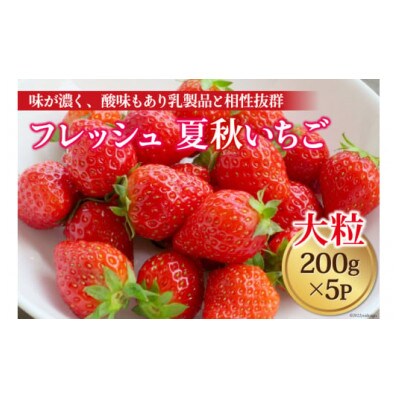 安曇野産　夏秋いちご(大粒)200g×5パック