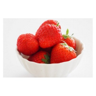 【小粒】安曇野産　夏秋いちご　150g×10パック