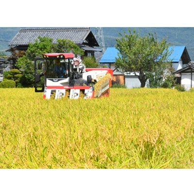 【令和2年産】　長野県産コシヒカリ　10kg
