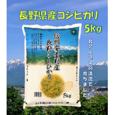 長野県産コシヒカリ5kg(精米)