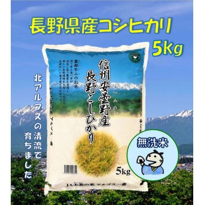 長野県産コシヒカリ5kg(無洗米)