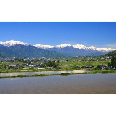 【毎月定期便】長野県産コシヒカリ10kg(精米)全3回