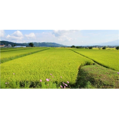 【毎月定期便】長野県産コシヒカリ10kg(精米)全3回