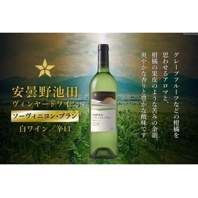 サッポログランポレール 安曇野池田ヴィンヤードワイン「ソーヴィニヨン・ブラン」750ml