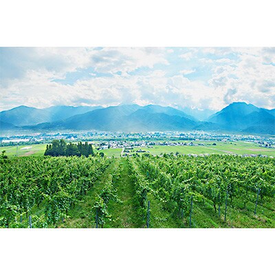 サッポログランポレール 安曇野池田ヴィンヤードワイン赤白2種セット(750ml×各1本)