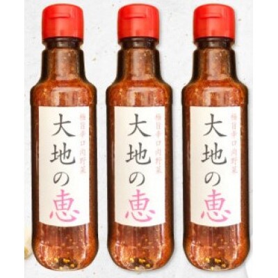 にんにくドレッシング 「大地の恵」 中辛 200ml×3本