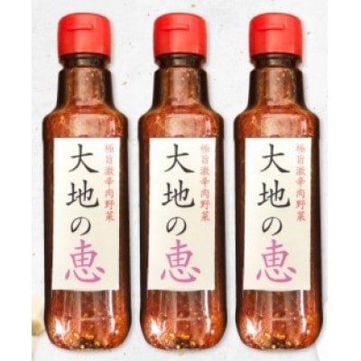 にんにくドレッシング 「大地の恵」 激辛 200ml×3本