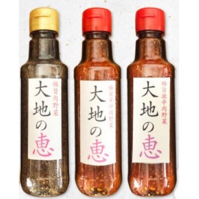 にんにくドレッシング 「大地の恵」 200ml×3種セット (甘口・中辛・激辛)