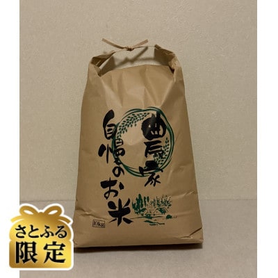 【さとふる限定】長野県安曇野産コシヒカリ精米 10kg