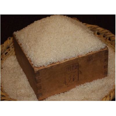 【さとふる限定】長野県安曇野産コシヒカリ精米 10kg