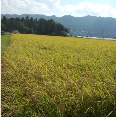 【さとふる限定】長野県安曇野産コシヒカリ精米 10kg