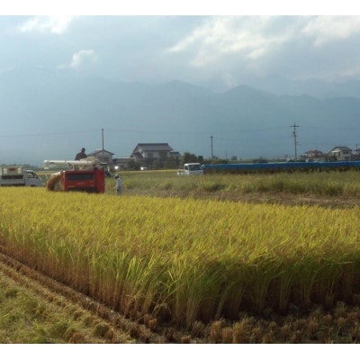【さとふる限定】長野県安曇野産コシヒカリ精米 10kg