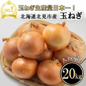 【2023年9月下旬以降発送】北海道 北見産 玉ねぎ 20kg