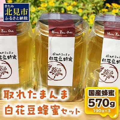【国産蜂蜜】北の大地で採れたまんまの白花豆はちみつ　190g3本セット