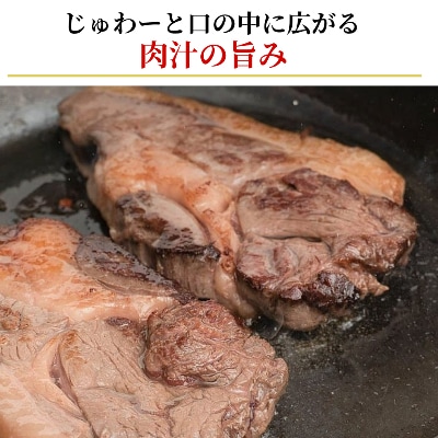 北見エゾシカ熟成肉 シンタマ&内モモステーキ食べくらべセット( 計700g )