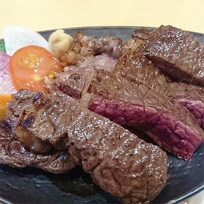 【毎月定期便】北見エゾシカ熟成(ドライエイジング)ステーキ食べ比べ4種 全4回